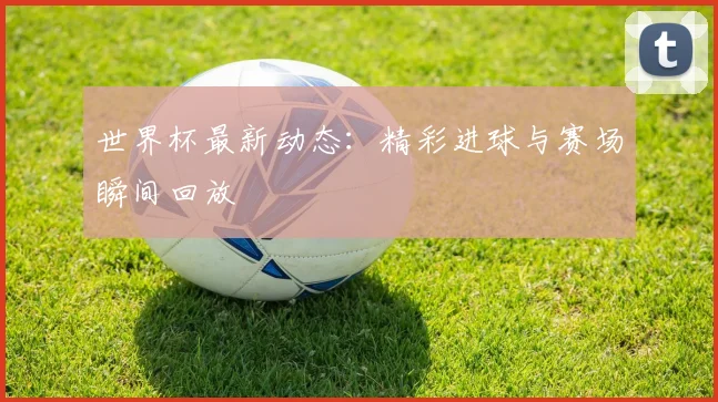 世界杯最新动态：精彩进球与赛场瞬间回放