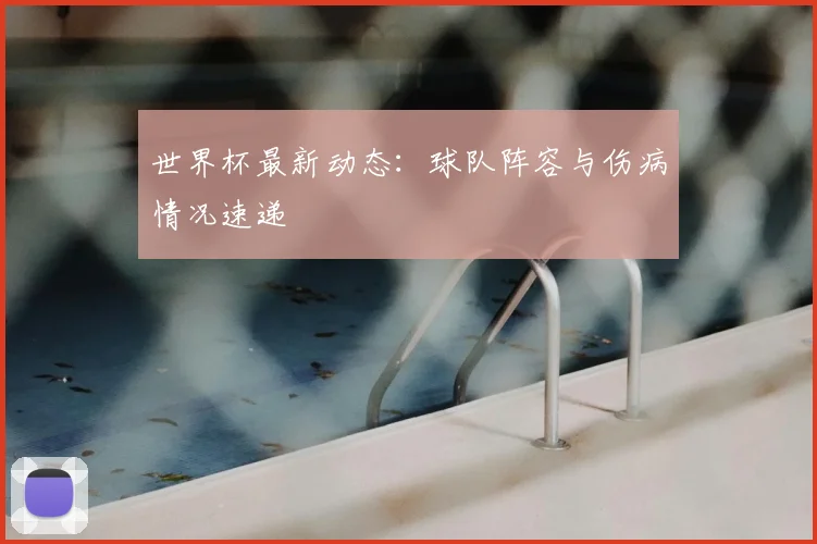 世界杯最新动态：球队阵容与伤病情况速递